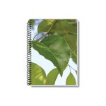 A Coleção New de cadernos universitários reúne modelos de 1 a 20 matérias com capa dura resistente, ideais para o dia a dia escolar ou universitário. As capas estampam belas paisagens naturais, como montanhas imponentes, praias paradisíacas e folhagens verdes exuberantes, transmitindo inspiração, tranquilidade e contato com a natureza enquanto você estuda