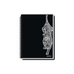 Capa do carderno da coleção Rox, caderno cpa dura, universitario, 1/4, 1/8, desenho com várias materias e quantidade de folhas. Coleção Pauta Branca.